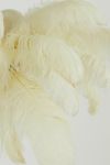 Lampa Feather pióra biała sufitowa 80 cm 4