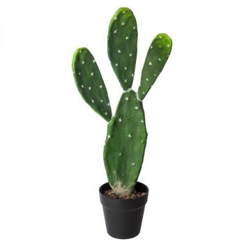 kaktus-dekoracyjny-60-cm.jpg